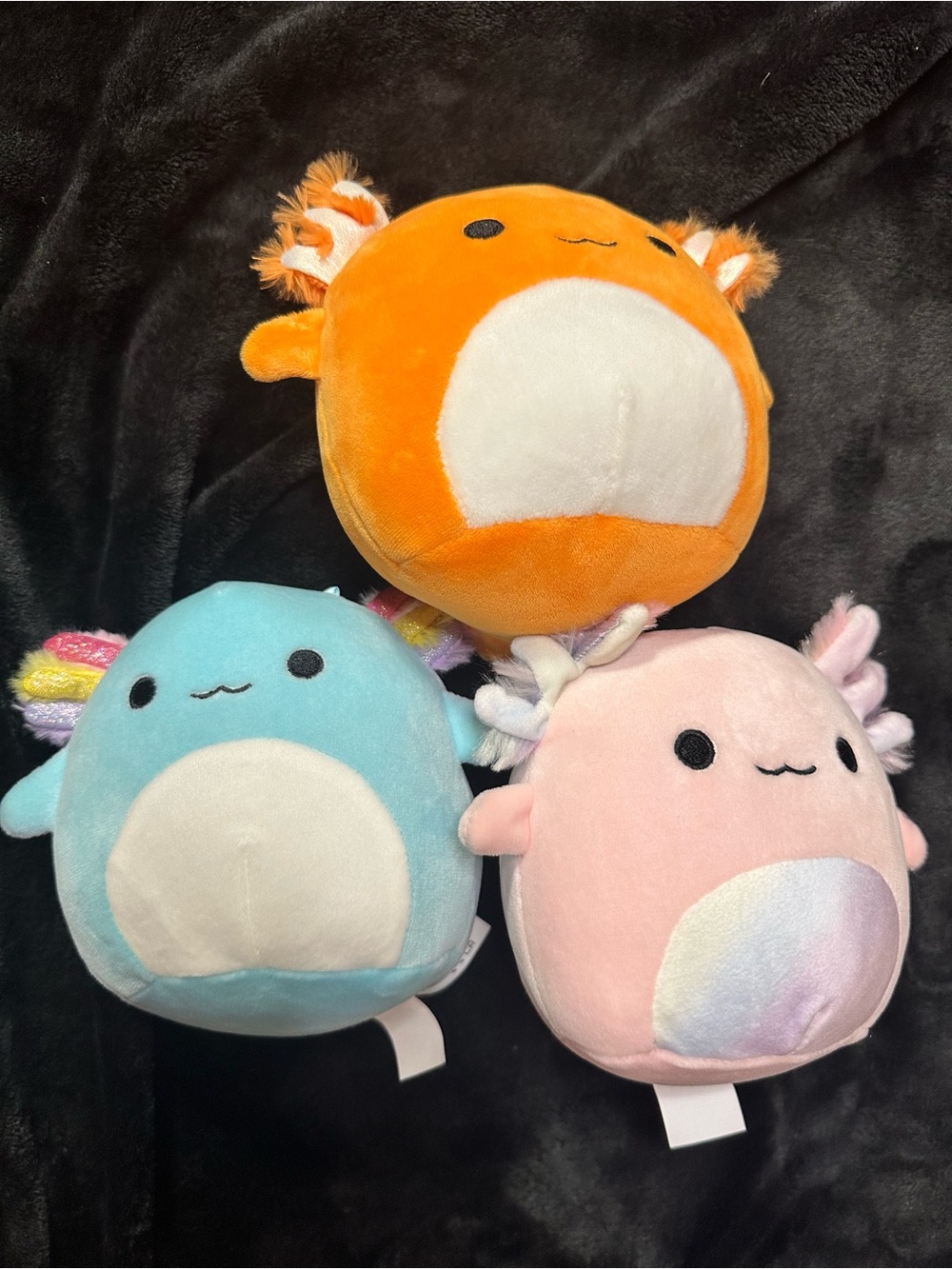 Squishmallows Axolotl Plush Bundle Small  Pink Blue Orange Stuffed Set of 3 - Picture 3 of 9